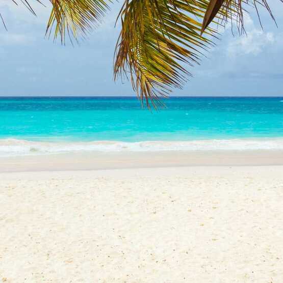 Scattered Remains Scattered Remains